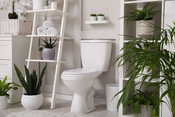 Cost of Toilet Repair in Independence