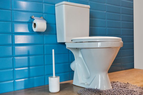 Cost of Toilet Tank Repair in Independence