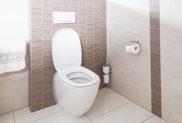 Cost of Toilet Plumbing Installation in Independence